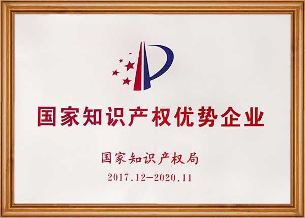 國(guó)家(jiā)知(zhī)識産權優勢企業(yè)(圖1)