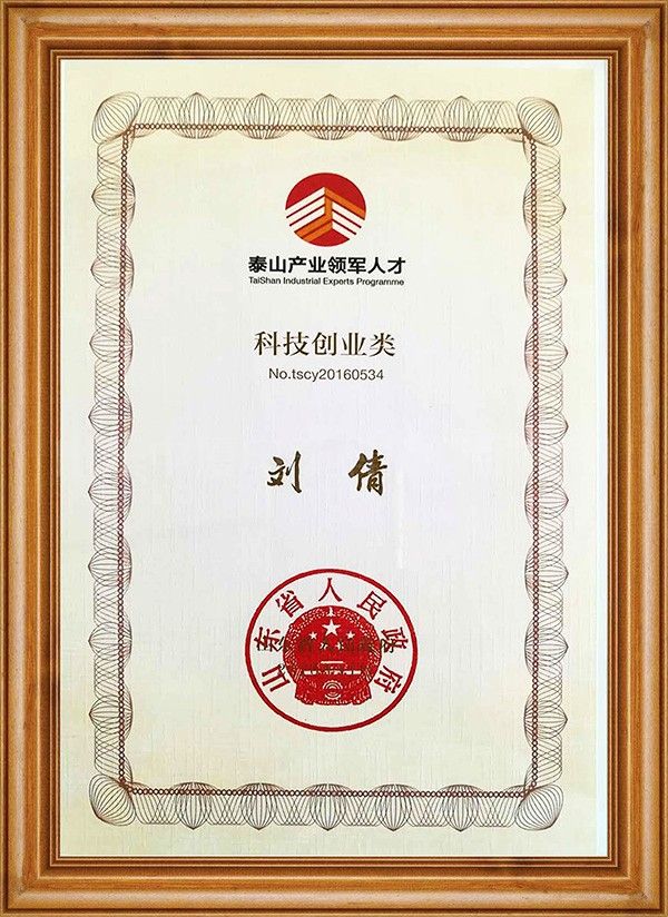 泰山(shān)産業(yè)領軍人(rén)才